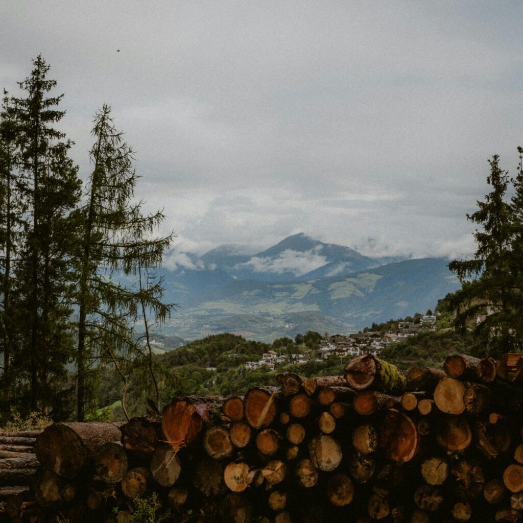 Scenic view of stacked logs overlooking a misty mountain valley.